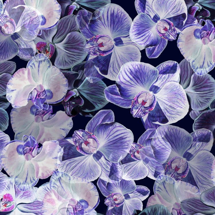 ORCHID FUSION SNAPSHOT