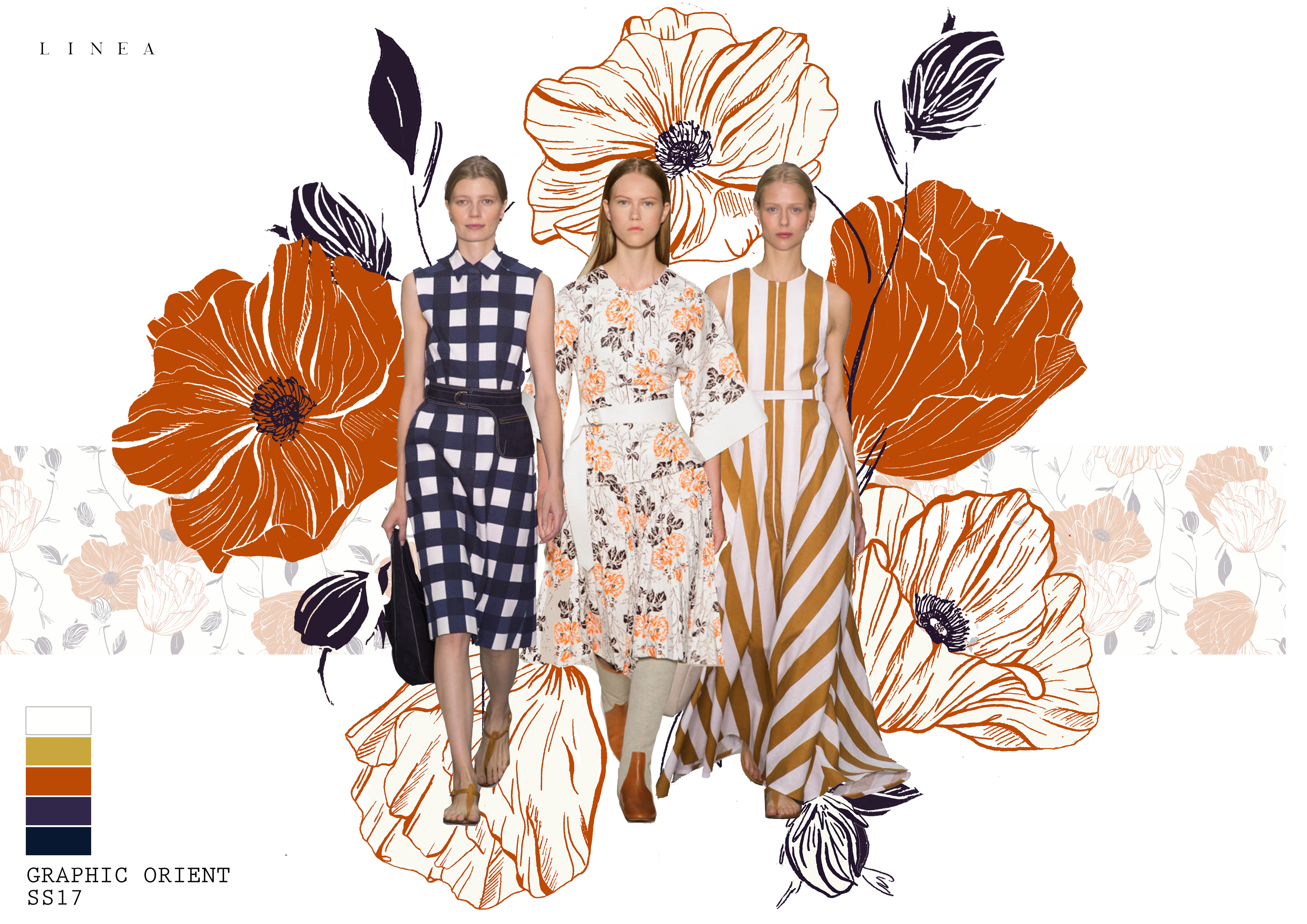 LINEA GRAPHIC ORIENT 1