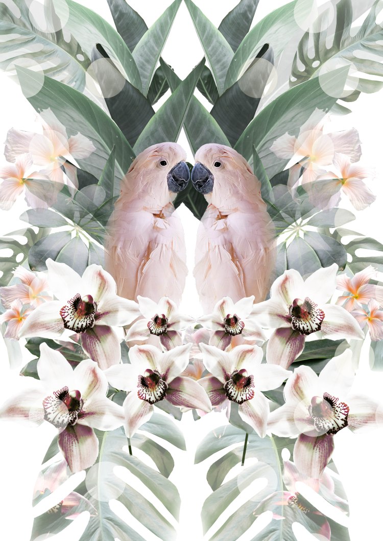 GRAPHIC OLDER GIRL 5-13 second